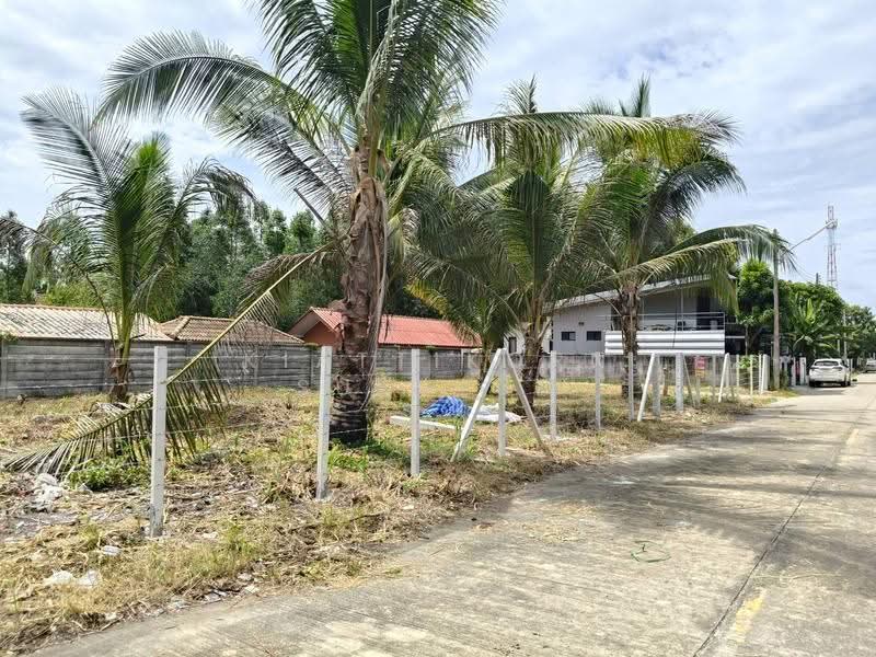 ที่ดินติดคลองธรรมชาติ ไฟฟ้า ประปา ครบ แหล่งชุมชน, Nakhon Si Thammarat, Pak Phun, Muang Nakhon Sri Thammarat, Nakhon Si Thammarat, , 620 sqm, Land For Sale, by KIATTIKORN SUKGLUB, 500499158 - DDproperty.com