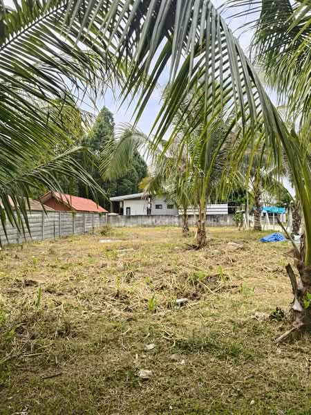 ที่ดินติดคลองธรรมชาติ ไฟฟ้า ประปา ครบ แหล่งชุมชน, Nakhon Si Thammarat, Pak Phun, Muang Nakhon Sri Thammarat, Nakhon Si Thammarat, , 620 sqm, Land For Sale, by KIATTIKORN SUKGLUB, 500499158 - DDproperty.com