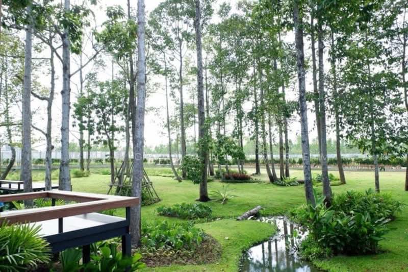 Life In The Garden Rongpo-Motorway, Chon Buri (Pattaya), Soi Bang Lamung 25 (Rong Po), Ta Khian Tia, Bang Lamung (Pattaya), Chon Buri (Pattaya), 4 Bedrooms, 220 sqm, Single Detached House For Rent, by Sirisongkran Kasemkun, 500499179 - DDproperty.com
