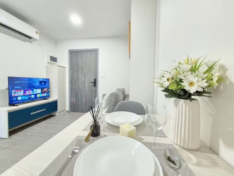 Kave Wonderland, Pathum Thani, Khlong Nung, Khlong Luang, Pathum Thani, 1 Bedroom, 25 sqm, Condo For Rent, by Connex Property, 500499349 - DDproperty.com