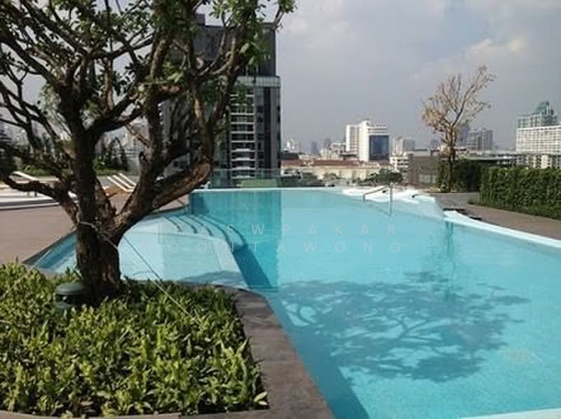 CEIL by Sansiri, Bangkok, 11 Soi Ekamai 12, Sukhumvit 63 Road, Khlong Tan Nua, Watthana, Bangkok, 1 Bedroom, 30 sqm, Condo For Rent, by Praewpakar Soontawong, 500499373 - DDproperty.com