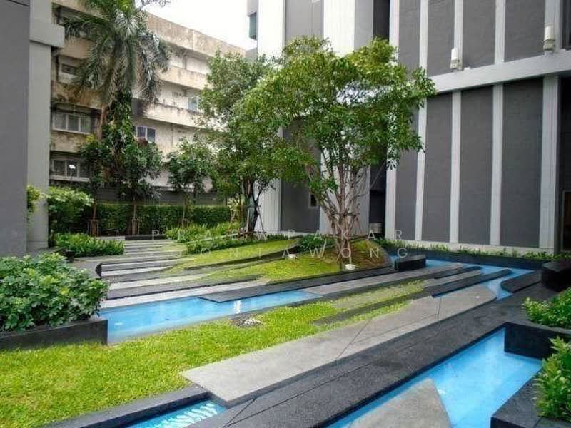 CEIL by Sansiri : ซีล บาย แสนสิริ, กรุงเทพ, 11 ซอยเอกมัย 12 ถนนสุขุมวิท 63, คลองตันเหนือ, วัฒนา, กรุงเทพ, 30 ตร.ม., คอนโด ให้เช่า, โดย Praewpakar Soontawong, 500499373 - DDproperty.com