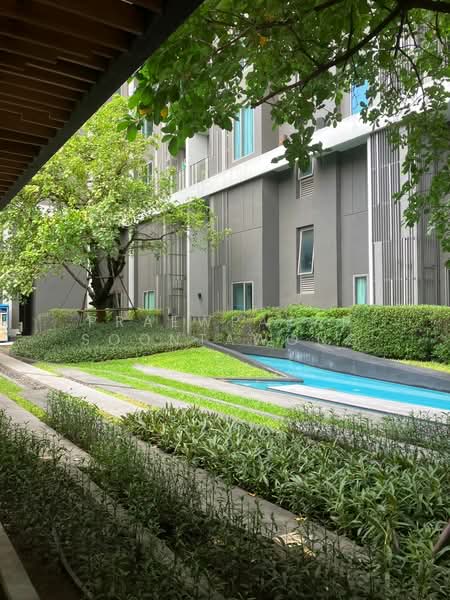 CEIL by Sansiri : ซีล บาย แสนสิริ, กรุงเทพ, 11 ซอยเอกมัย 12 ถนนสุขุมวิท 63, คลองตันเหนือ, วัฒนา, กรุงเทพ, 30 ตร.ม., คอนโด ให้เช่า, โดย Praewpakar Soontawong, 500499373 - DDproperty.com