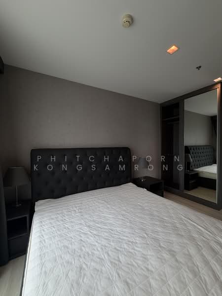 Life Sukhumvit 48, Bangkok, Soi Sukhumvit 48, Phra Kanong, Khlong Toei, Bangkok, 2 Bedrooms, 55 sqm, Condo For Rent, by Phitchaporn Kongsamrong, 500499859 - DDproperty.com