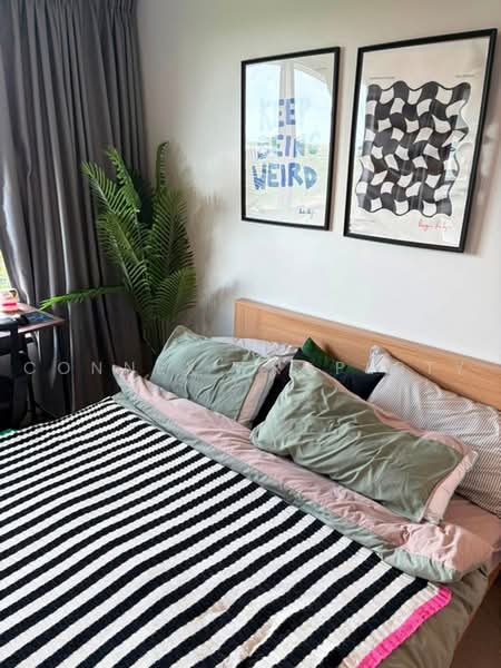 Centrio Condominium, Phuket, Wichit Songkhram, Kathu, Phuket, 1 Bedroom, 31 sqm, Condo For Rent, by Connex Property, 500499874 - DDproperty.com