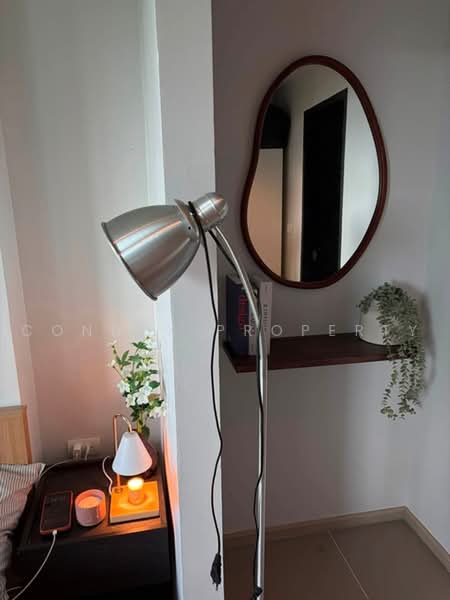 Centrio Condominium, Phuket, Wichit Songkhram, Kathu, Phuket, 1 Bedroom, 31 sqm, Condo For Rent, by Connex Property, 500499874 - DDproperty.com