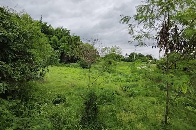 วัดหินแท่นลำภาชี, กาญจนบุรี, หนองไผ่, ด่านมะขามเตี้ย, กาญจนบุรี, 8,896 ตร.ม., ที่ดิน ขาย, โดย ชนะชาติ นนท์ตา, 500499889 - DDproperty.com