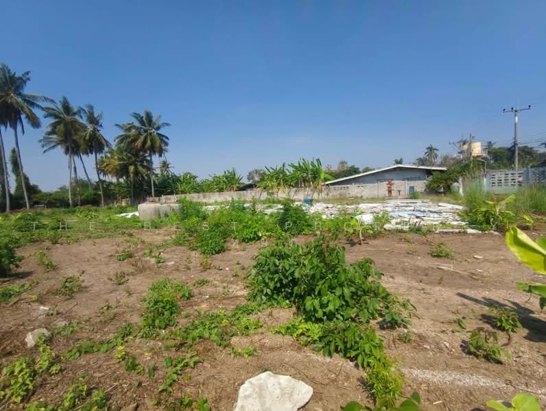 ที่ดินบ้านโป่ง ราชบุรี, ราชบุรี, ลาดบัวขาว, บ้านโป่ง, ราชบุรี, 2,453 ตร.ม., ที่ดิน ขาย, โดย The Best Property หยก, 500500109 - DDproperty.com