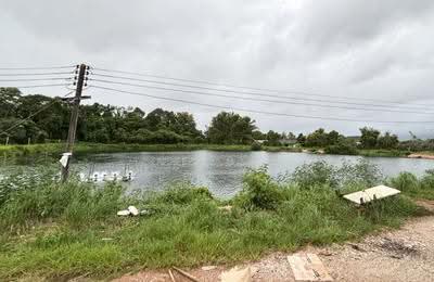 ขาย - ที่ดินหนองบัว จันทบุรี, จันทบุรี