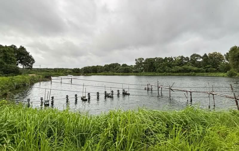 ที่ดินหนองบัว จันทบุรี, จันทบุรี, หนองบัว, เมืองจันทบุรี, จันทบุรี, 46,360 ตร.ม., ที่ดิน ขาย, โดย The Best Property หนึ่ง, 500500145 - DDproperty.com