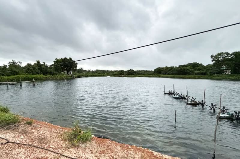 ที่ดินหนองบัว จันทบุรี, Chanthaburi, Nong Bua, Muang Chanthaburi, Chanthaburi, , 46,360 sqm, Land For Sale, by The Best Property หนึ่ง, 500500145 - DDproperty.com