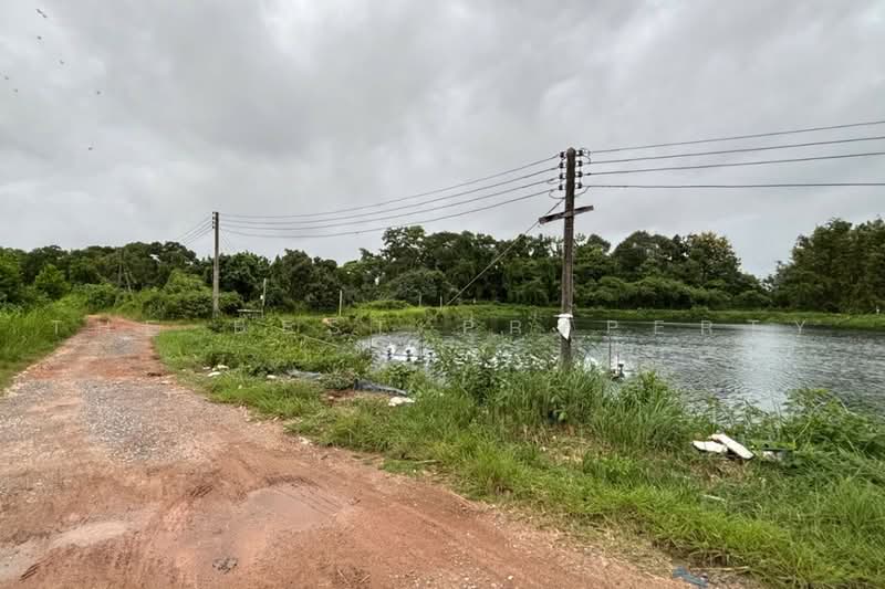 ที่ดินหนองบัว จันทบุรี, จันทบุรี, หนองบัว, เมืองจันทบุรี, จันทบุรี, 46,360 ตร.ม., ที่ดิน ขาย, โดย The Best Property หนึ่ง, 500500145 - DDproperty.com