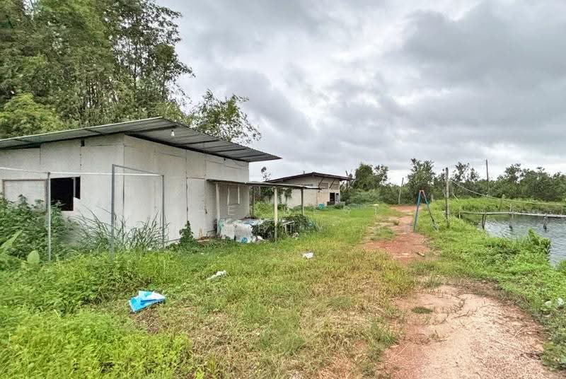 ที่ดินหนองบัว จันทบุรี, Chanthaburi, Nong Bua, Muang Chanthaburi, Chanthaburi, , 46,360 sqm, Land For Sale, by The Best Property หนึ่ง, 500500145 - DDproperty.com
