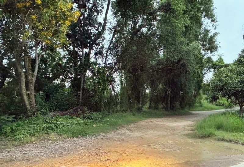 ที่ดินหนองบัว จันทบุรี, จันทบุรี, หนองบัว, เมืองจันทบุรี, จันทบุรี, 46,360 ตร.ม., ที่ดิน ขาย, โดย The Best Property หนึ่ง, 500500145 - DDproperty.com