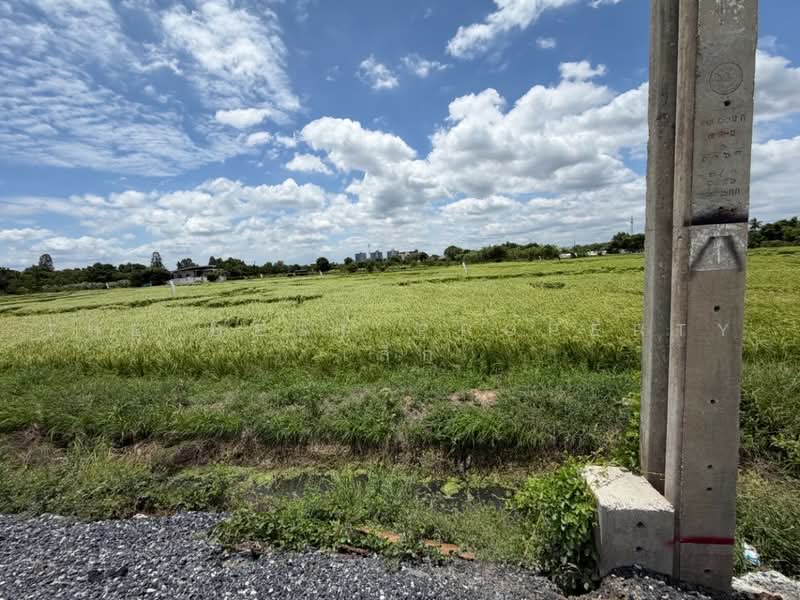 บ้านเดี่ยวพร้อมที่ดินบางใหญ่ นนทบุรี, Nonthaburi, Sao Thong Hin, Bang Yai, Nonthaburi, 2 Bedrooms, 100 sqm, Single Detached House For Sale, by The Best Property เล็ก, 500500162 - DDproperty.com