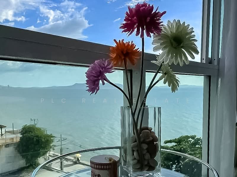 Musselana, Chon Buri (Pattaya), 121 Jomtein Road, Na Kloe, Bang Lamung (Pattaya), Chon Buri (Pattaya), 1 Bedroom, 41 sqm, Condo For Sale, by PLC real estate, 500500163 - DDproperty.com