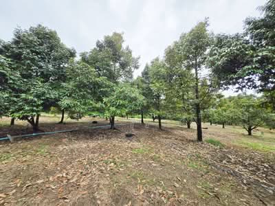 ขาย - ที่ดินท่าช้าง จันทบุรี, จันทบุรี
