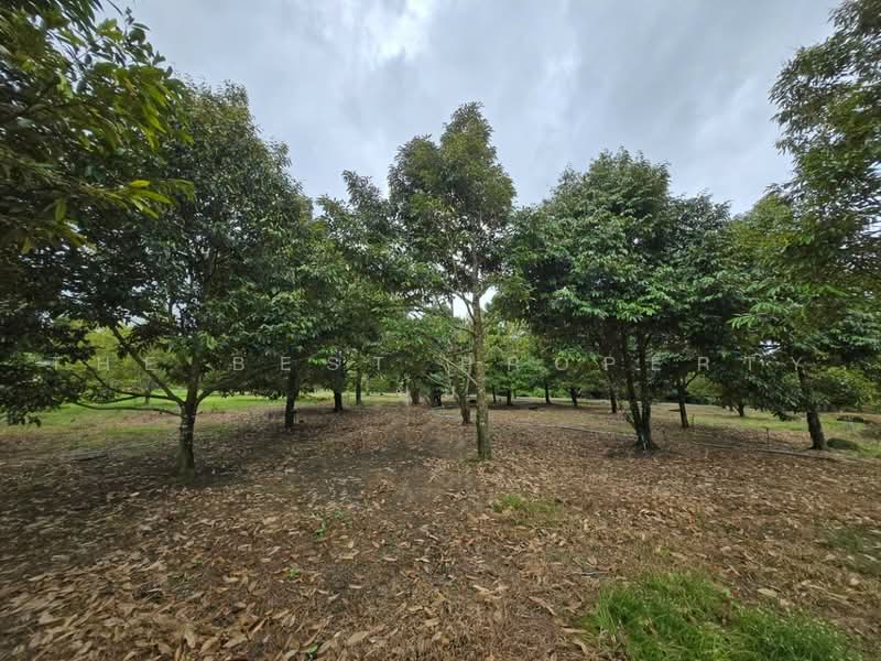 ที่ดินท่าช้าง จันทบุรี, จันทบุรี, ท่าช้าง, เมืองจันทบุรี, จันทบุรี, 1,600 ตร.ม., ที่ดิน ขาย, โดย The Best Property ยุ้ย, 500500209 - DDproperty.com