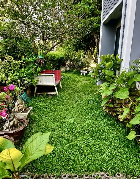 Baan Fah Piyarom - Lumlukka Klong 6, Pathum Thani, Lam Luk Ka Road, Khlong 6 (Exit), Bung Kham Proi, Lam Luk Ka, Pathum Thani, 3 Bedrooms, 69 sqm, Single Detached House For Sale, by Thananthorn Wongvarnkaseam, 500500222 - DDproperty.com