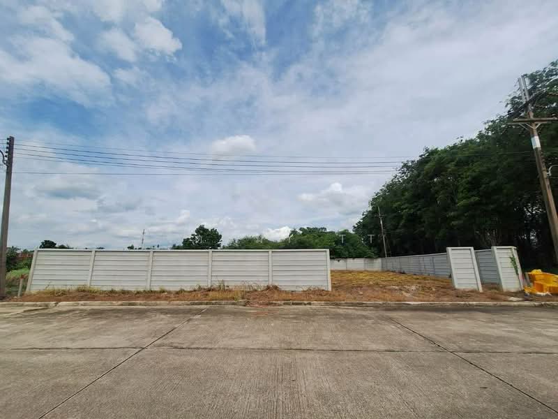 land for sale, Kritsadanakhon 26, Nakhon Pathom, Nakhon Chai Sri, Nakhon Pathom, , 860 sqm, Land For Sale, by จิตติมา TT, 500500239 - DDproperty.com