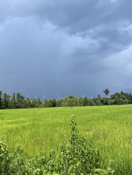 ที่ดินเกษตรกรรม ต.ดอนหายโศก : Agricultural Land in Don Hai Sok, Nong Han, Udon Thani, บ้านดอนหายโศก, Don Hai Sok, Nong Han, Udon Thani, , 24,492 sqm, Land For Sale, by Kulaya Thanapura, 500500395 - DDproperty.com
