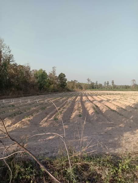 ที่ดินเกษตรกรรม ต.ดอนหายโศก : Agricultural Land in Don Hai Sok, Nong Han, Udon Thani, บ้านดอนหายโศก, Don Hai Sok, Nong Han, Udon Thani, , 24,492 sqm, Land For Sale, by Kulaya Thanapura, 500500395 - DDproperty.com