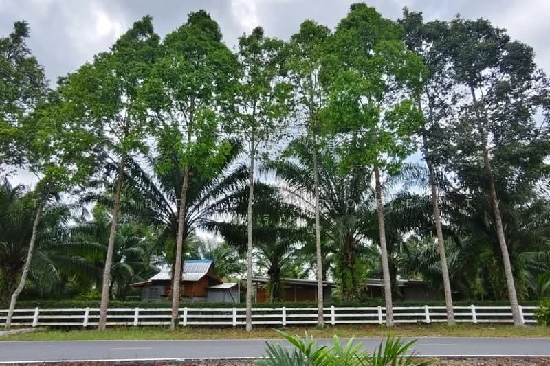 ที่ดินพร้อมสิ่งปลูกสร้าง นาเคียน นครศรีธรรมราช, นครศรีธรรมราช, นาเคียน, เมืองนครศรีธรรมราช, นครศรีธรรมราช, 5,264 ตร.ม., ที่ดิน ขาย, โดย The Best Property พริก, 500500506 - DDproperty.com