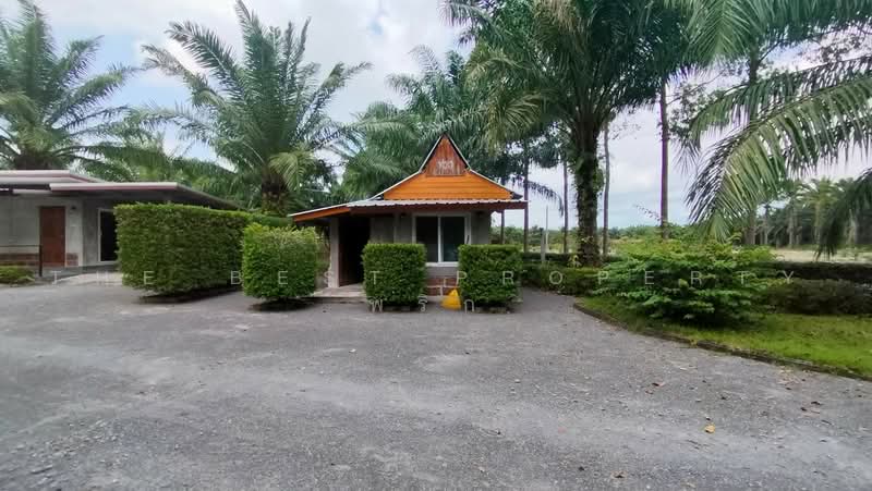 ที่ดินพร้อมสิ่งปลูกสร้าง นาเคียน นครศรีธรรมราช, นครศรีธรรมราช, นาเคียน, เมืองนครศรีธรรมราช, นครศรีธรรมราช, 5,264 ตร.ม., ที่ดิน ขาย, โดย The Best Property พริก, 500500506 - DDproperty.com