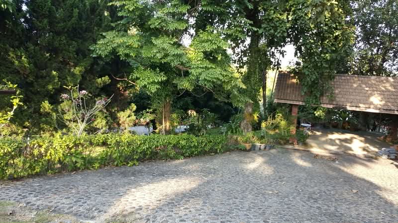 ขายบ้านเดี่ยวพร้อมที่ดินกว้าง 363 ตร.ว. ต.แม่กรณ์ อ.เมืองเชียงราย ราคา 4.5 ล้าน, เชียงราย, แม่กรณ์, เมืองเชียงราย, เชียงราย, 500 ตร.ม., บ้านเดี่ยว ขาย, โดย ธีรรัชต์ ศรีเล็กดี, 500500570 - DDproperty.com