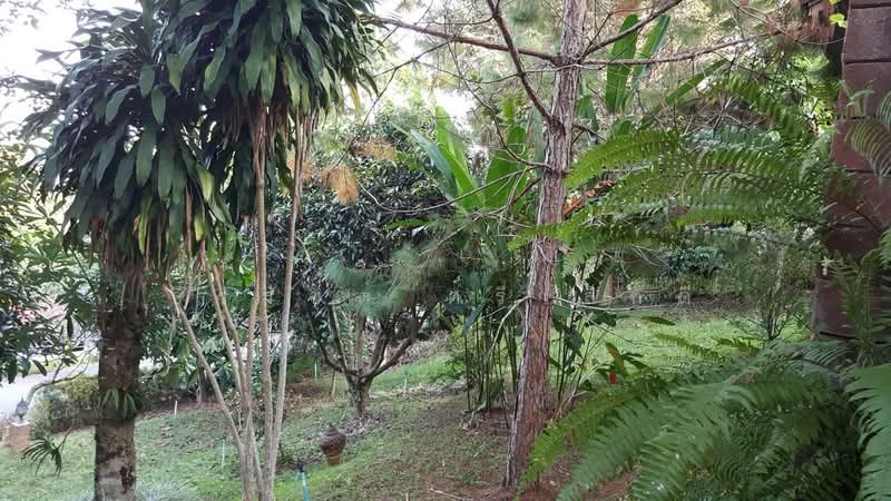 Single house with land for sale, 363 square wah, Mae Korn Subdistrict, Mueang Chiang Rai District. P, Chiang Rai, Mae Kon, Muang Chiang Rai, Chiang Rai, 2 Bedrooms, 500 sqm, Single Detached House For Sale, by ธีรรัชต์ ศรีเล็กดี, 500500570 - DDproperty.com