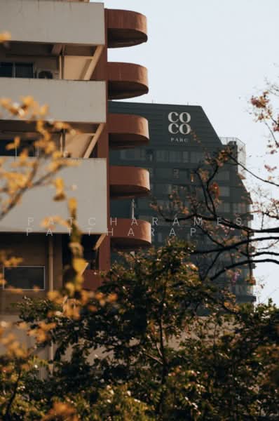 Coco Parc, Bangkok, 1150 Rama 4 Road, Khlong Toei, Bangkok, 2 Bedrooms, 65 sqm, Condo For Rent, by Patcharames Pattharapornviboon, 500500629 - DDproperty.com