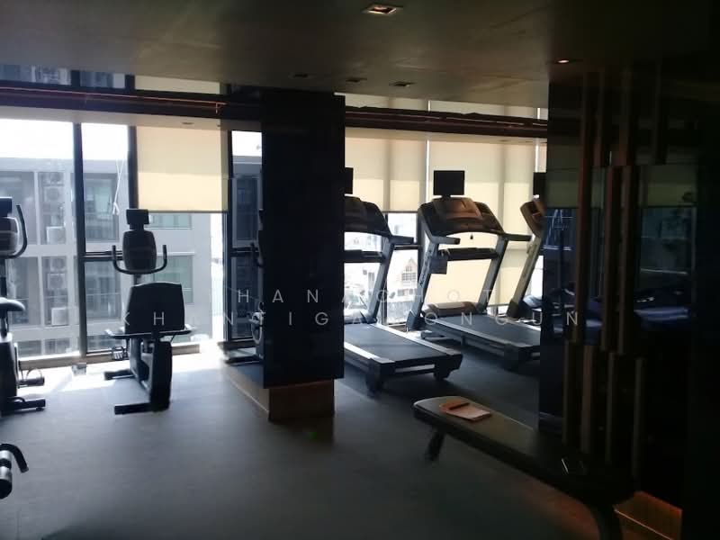 The Tree Sukhumvit 64, Bangkok, Soi Sukhumvit 64, Bang Chak, Phra Khanong, Bangkok, 1 Bedroom, 34 sqm, Condo For Rent, by Thanachot Khantigamongun, 500500704 - DDproperty.com