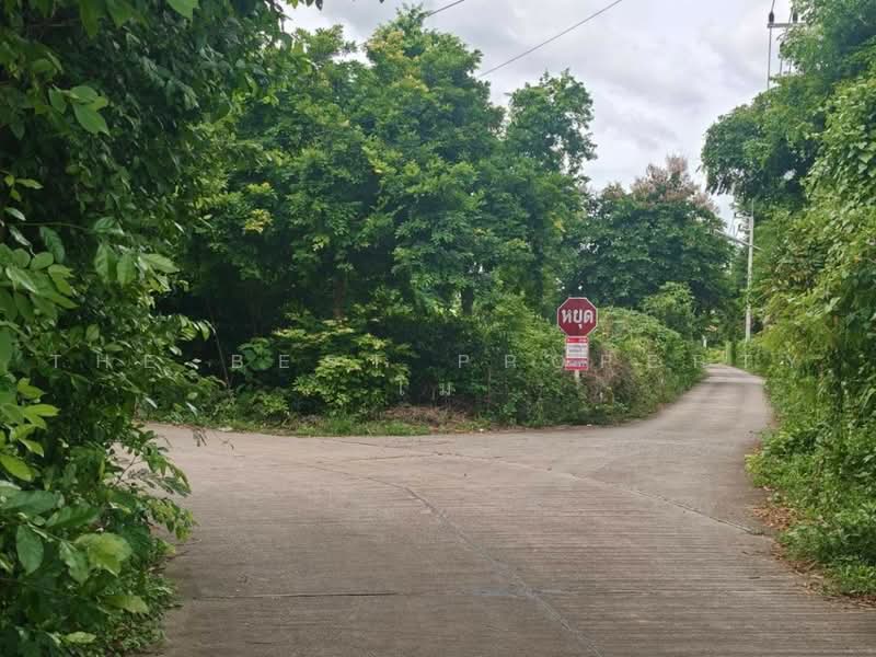 บ้านเดี่ยวแปลงยาว ฉะเชิงเทรา, Chachoengsao, Wang Yen, Plaeng Yao, Chachoengsao, 3 Bedrooms, 150 sqm, Single Detached House For Sale, by The Best Property โม, 500500764 - DDproperty.com