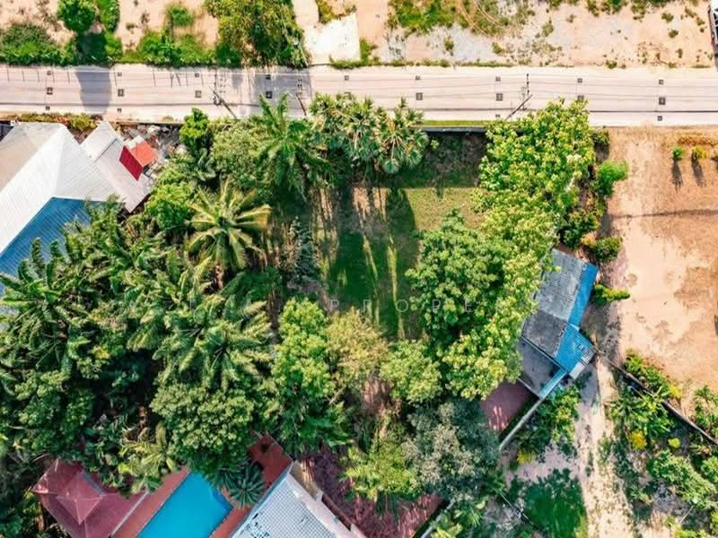 ที่ดิน พรประภานิมิต 15 พัทยา, ชลบุรี, พรประภานิมิต 15, หนองปรือ, บางละมุง, ชลบุรี, 1,200 ตร.ม., ที่ดิน ขาย, โดย A.T.A. Property, 500500901 - DDproperty.com