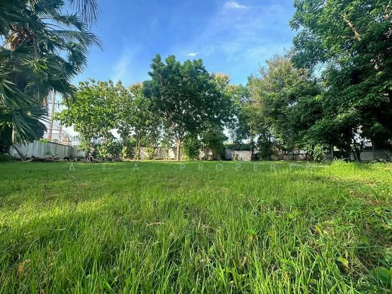 ที่ดิน พรประภานิมิต 15 พัทยา, Chon Buri (Pattaya), พรประภานิมิต 15, Nong Pru, Bang Lamung (Pattaya), Chon Buri (Pattaya), , 1,200 sqm, Land For Sale, by A.T.A. Property, 500500901 - DDproperty.com