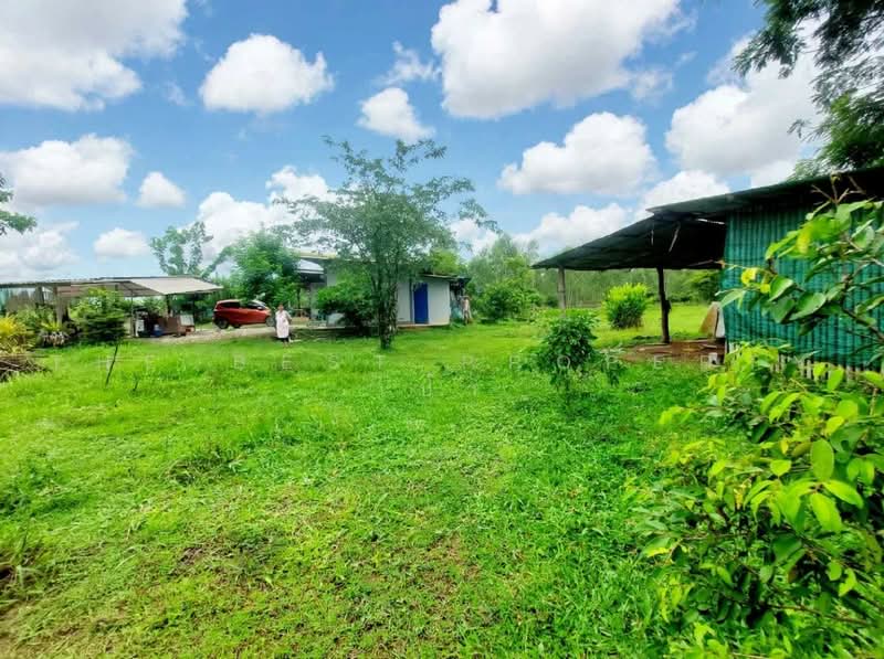 บ้านเดี่ยวพร้อมที่ดินโพนพิสัย หนองคาย, หนองคาย, นาหนัง, โพนพิสัย, หนองคาย, 245 ตร.ม., บ้านเดี่ยว ขาย, โดย The Best Property เป้า, 500500934 - DDproperty.com