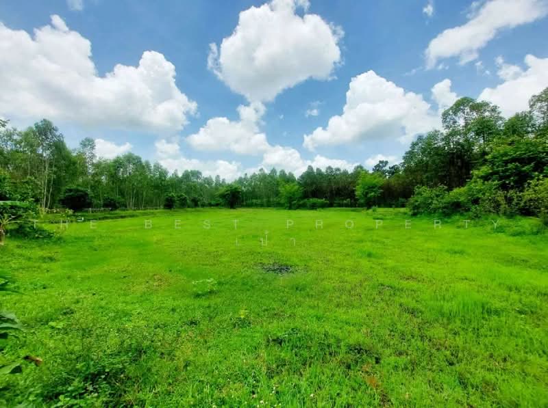 บ้านเดี่ยวพร้อมที่ดินโพนพิสัย หนองคาย, หนองคาย, นาหนัง, โพนพิสัย, หนองคาย, 245 ตร.ม., บ้านเดี่ยว ขาย, โดย The Best Property เป้า, 500500934 - DDproperty.com
