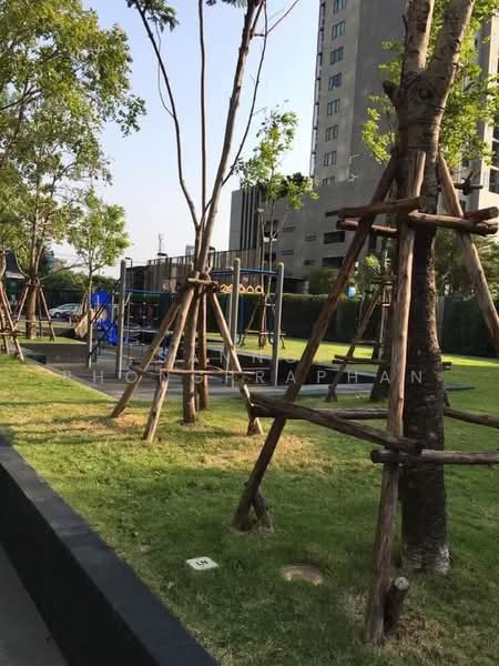 The Base Sukhumvit 77, Bangkok, 289 Sukhumvit 77 Road, Phra Kanong Nua, Watthana, Bangkok, 1 Bedroom, 30 sqm, Condo For Rent, by Sannop Phongpraphan, 500500949 - DDproperty.com