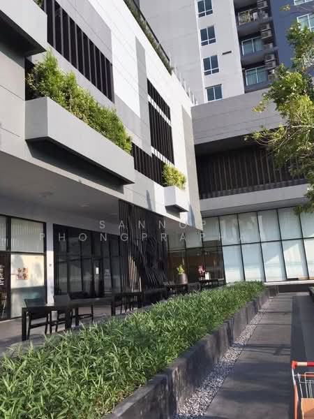 The Base Sukhumvit 77 : เดอะ เบส สุขุมวิท 77, กรุงเทพ, 289 ถนนสุขุมวิท 77, พระโขนงเหนือ, วัฒนา, กรุงเทพ, 30 ตร.ม., คอนโด ให้เช่า, โดย Sannop Phongpraphan, 500500949 - DDproperty.com