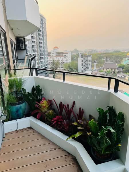 Astra Sky River : แอสตร้า สกายริเวอร์, เชียงใหม่, ถ. ช้างคลาน, ช้างคลาน, เมืองเชียงใหม่, เชียงใหม่, 96 ตร.ม., คอนโด ให้เช่า, โดย Baandeedee Chiangmai, 500500960 - DDproperty.com