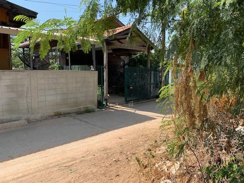 Woodhousr for rent, Nakhon Ratchasima, Nong Chabok, Muang Nakhon Ratchasima, Nakhon Ratchasima, 1 Bedroom, 100 sqm, Single Detached House For Rent, by วิรณี, 500500979 - DDproperty.com