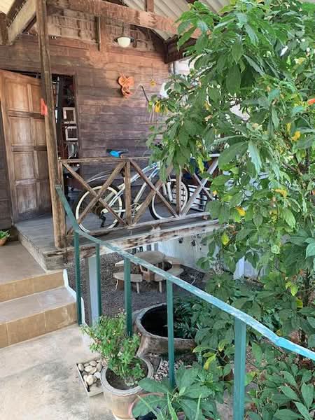 Woodhousr for rent, Nakhon Ratchasima, Nong Chabok, Muang Nakhon Ratchasima, Nakhon Ratchasima, 1 Bedroom, 100 sqm, Single Detached House For Rent, by วิรณี, 500500979 - DDproperty.com