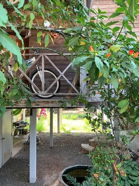 Woodhousr for rent, Nakhon Ratchasima, Nong Chabok, Muang Nakhon Ratchasima, Nakhon Ratchasima, 1 Bedroom, 100 sqm, Single Detached House For Rent, by วิรณี, 500500979 - DDproperty.com