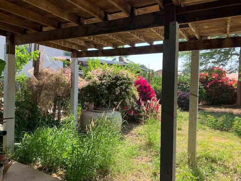Woodhousr for rent, Nakhon Ratchasima, Nong Chabok, Muang Nakhon Ratchasima, Nakhon Ratchasima, 1 Bedroom, 100 sqm, Single Detached House For Rent, by วิรณี, 500500979 - DDproperty.com