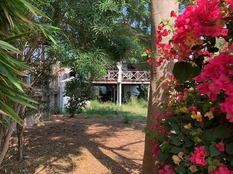 Woodhousr for rent, Nakhon Ratchasima, Nong Chabok, Muang Nakhon Ratchasima, Nakhon Ratchasima, 1 Bedroom, 100 sqm, Single Detached House For Rent, by วิรณี, 500500979 - DDproperty.com