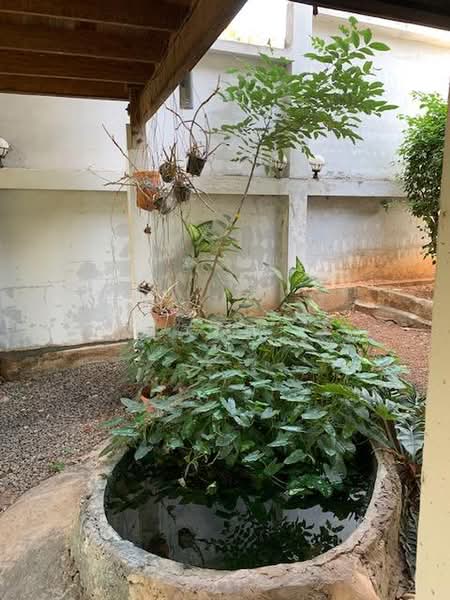 Woodhousr for rent, Nakhon Ratchasima, Nong Chabok, Muang Nakhon Ratchasima, Nakhon Ratchasima, 1 Bedroom, 100 sqm, Single Detached House For Rent, by วิรณี, 500500979 - DDproperty.com