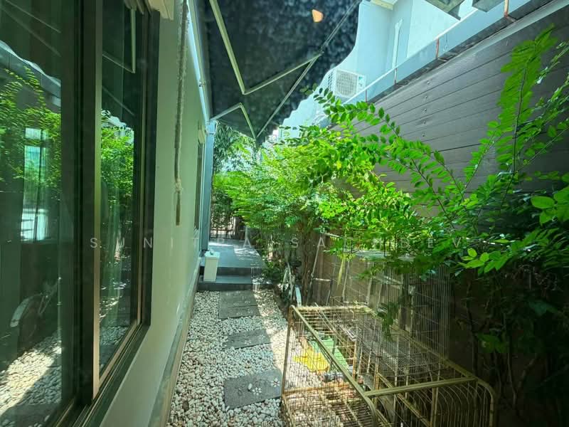 The Plant Estique Pattanakarn 38 : เดอะ แพลนท์ เอสทีค พัฒนาการ 38, กรุงเทพ, ซอยพัฒนาการ 38, สวนหลวง, กรุงเทพ, 145 ตร.ม., บ้านเดี่ยว ให้เช่า, โดย Sunitra Sachdev, 500501070 - DDproperty.com