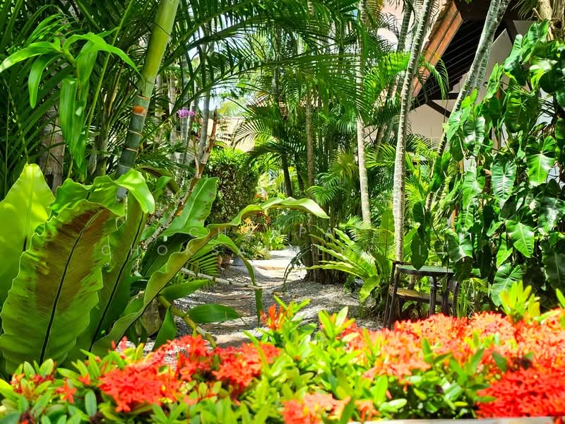 Palm Hills Golf Club and Residence : ปาล์ม ฮิลส์ กอล์ฟ คลับ แอนด์ เรสซิเดนซ์, เพชรบุรี, 1444 Phet Kasem Rd, ชะอำ, เพชรบุรี, 350 ตร.ม., บ้านเดี่ยว ขาย, โดย Chanpat Choksakulnimit, 500501083 - DDproperty.com