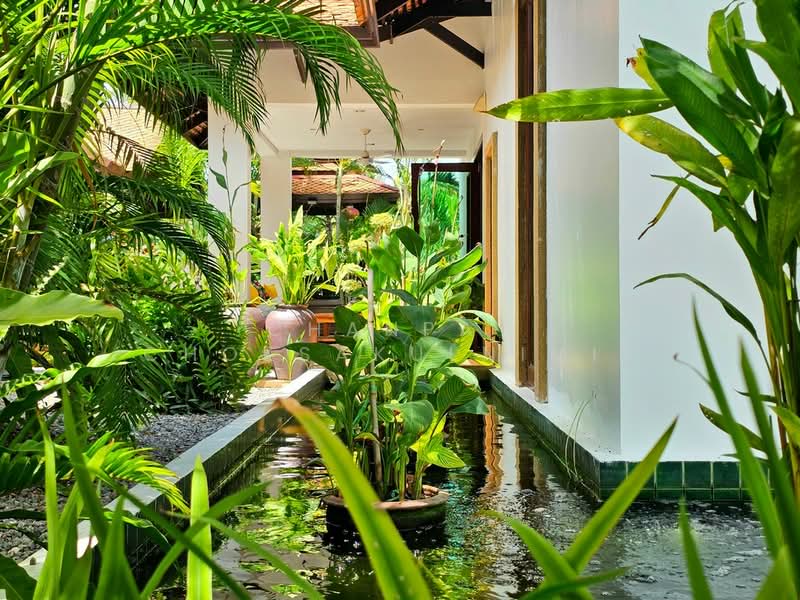 Palm Hills Golf Club and Residence : ปาล์ม ฮิลส์ กอล์ฟ คลับ แอนด์ เรสซิเดนซ์, เพชรบุรี, 1444 Phet Kasem Rd, ชะอำ, เพชรบุรี, 350 ตร.ม., บ้านเดี่ยว ขาย, โดย Chanpat Choksakulnimit, 500501083 - DDproperty.com