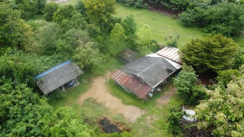 กำแพงแสน นครปฐม, Nakhon Pathom, Wang Nam Kieo, Kamphaeng Saen, Nakhon Pathom, , 4,800 sqm, Land For Sale, by Apaporn Muanthorani, 500501127 - DDproperty.com